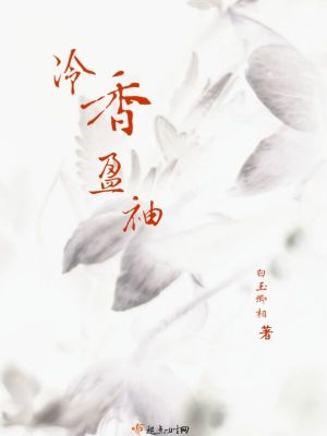 大明流匪 顶点