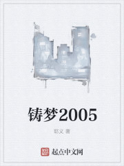 铸梦2005