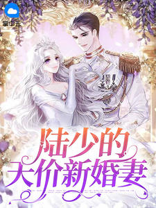 陆少的天价新婚妻