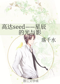 高达seed——星辰的光与影